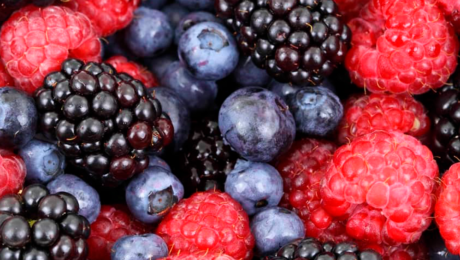 Antocianinas, Cientifique